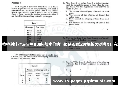 格拉利什对阵荷兰亚洲杯战术价值与体系影响深度解析关键博弈研究