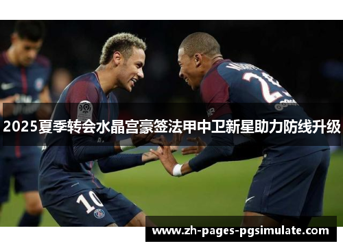 2025夏季转会水晶宫豪签法甲中卫新星助力防线升级