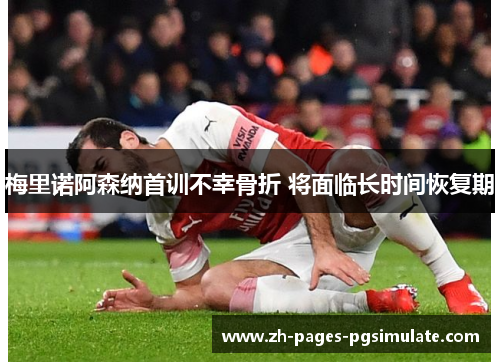 梅里诺阿森纳首训不幸骨折 将面临长时间恢复期 梅里诺阿森纳首训不幸骨折 将面临长时间恢复期