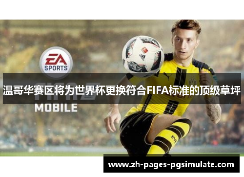 温哥华赛区将为世界杯更换符合FIFA标准的顶级草坪
